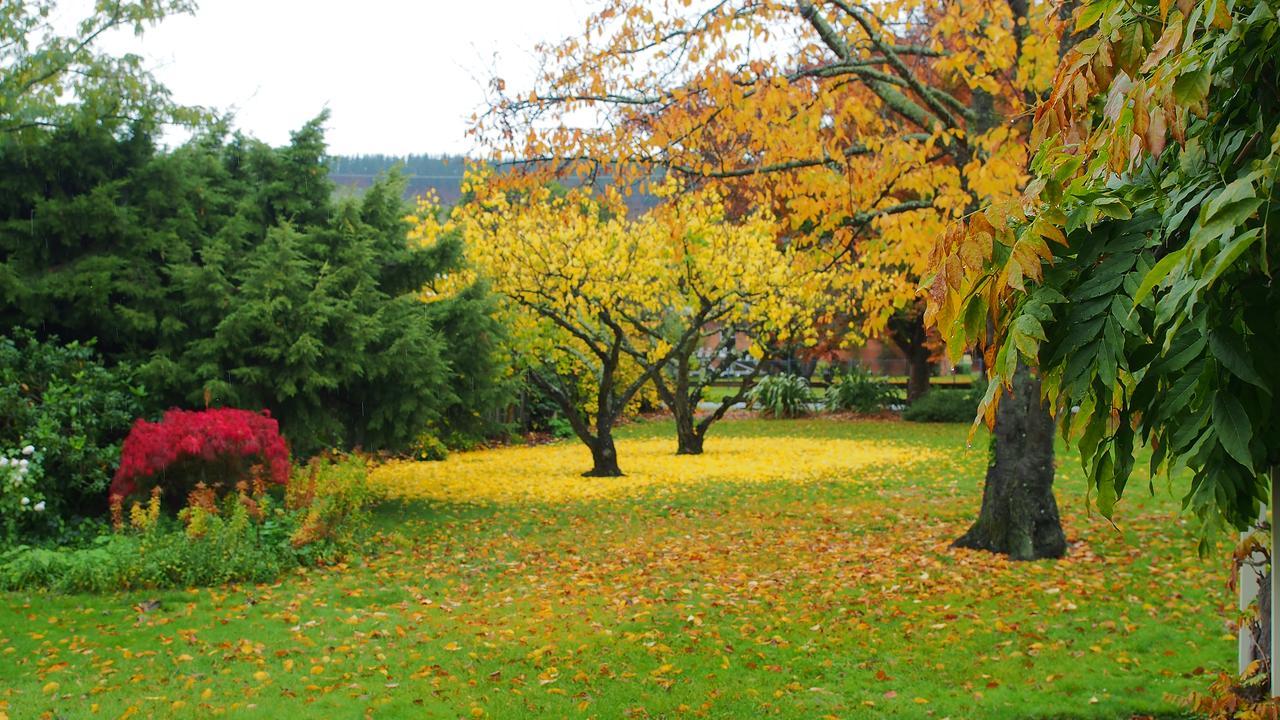 Hartley Homestead Boutique Bed & Breakfast Clyde Kültér fotó